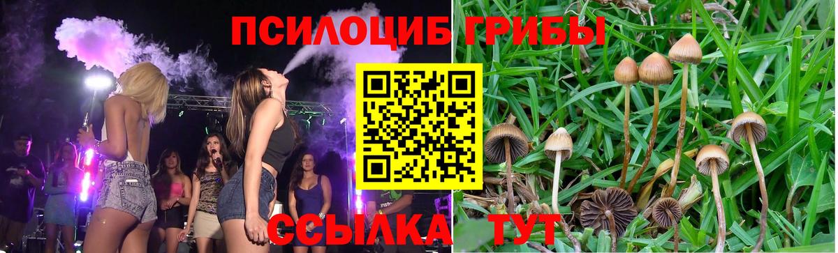 Фролово  Галлюциногенные грибы мухоморы  Вход с VPN 
